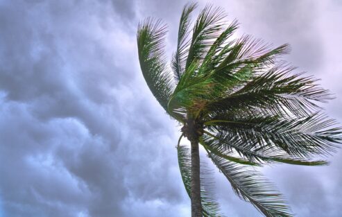 Our Founding Story: Hurricane Harvey Response