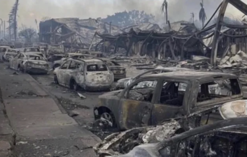 Over $5M Raised for Maui Wildfire Relief