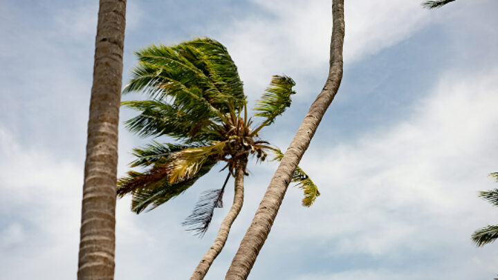 Hurricane Relief Fund