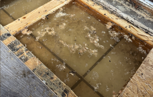 Richard’s Story, Flood Fund Grantee